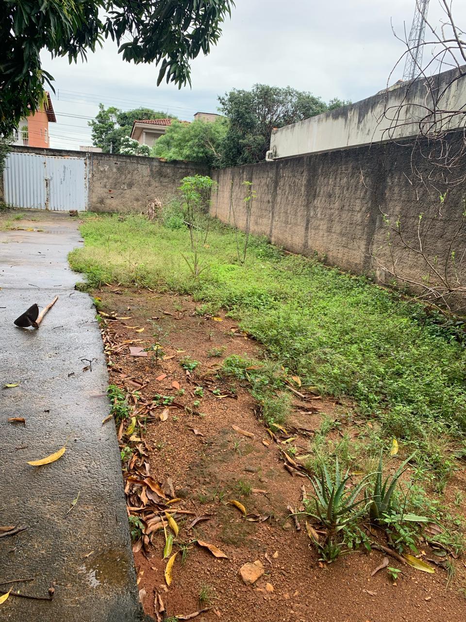 Lote no Jd Novo Mundo